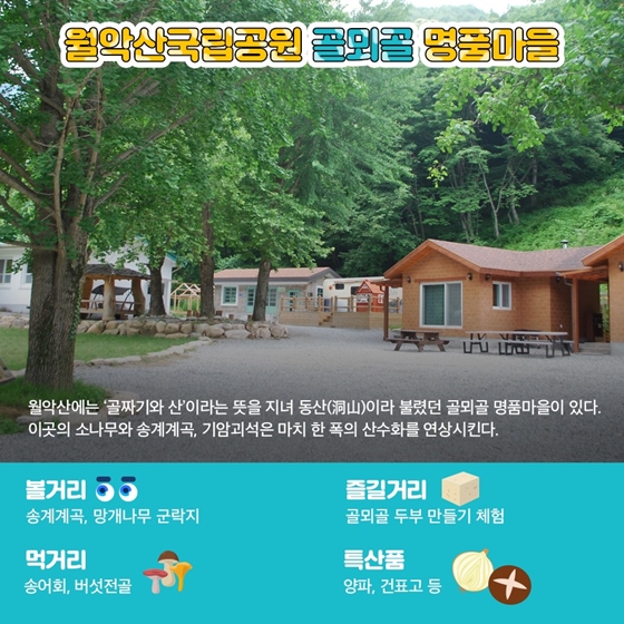 여름휴가 여기 어때?…국립공원 명품마을 5선