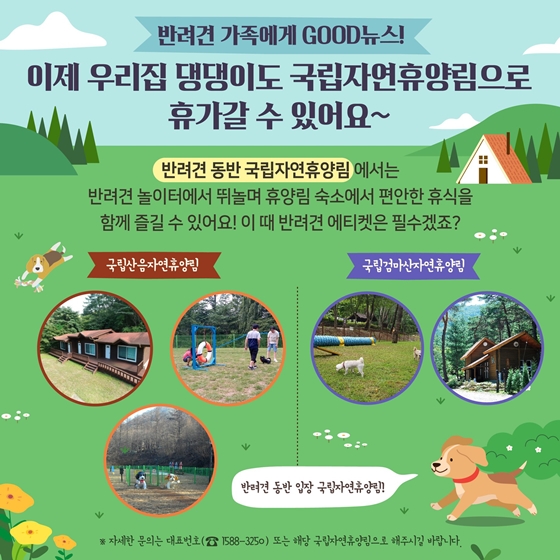 가을에 즐기기 딱 좋은 국립자연휴양림 어때요?