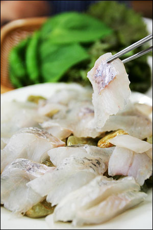 [맛집]여름철 신선한 회