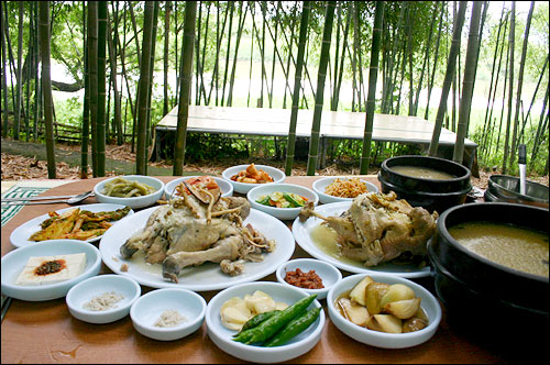[맛집]여름 보양식 닭