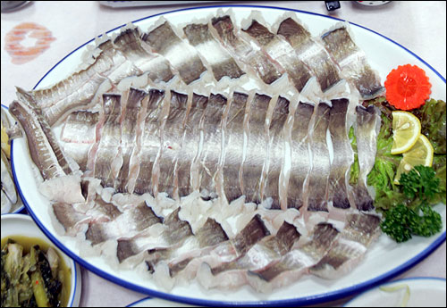 [맛집]여름철 신선한 회
