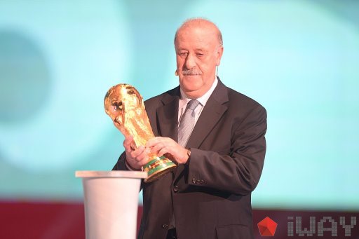 [2014 월드컵 조추첨] 델 보스케 이게 FIFA월드컵입니다