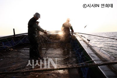 세상이 어찌되든 연평도 꽃게철은 이제 시작이다