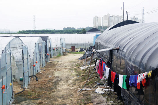 이주노동자의 삼시세끼, 여기 사람이 산다고?