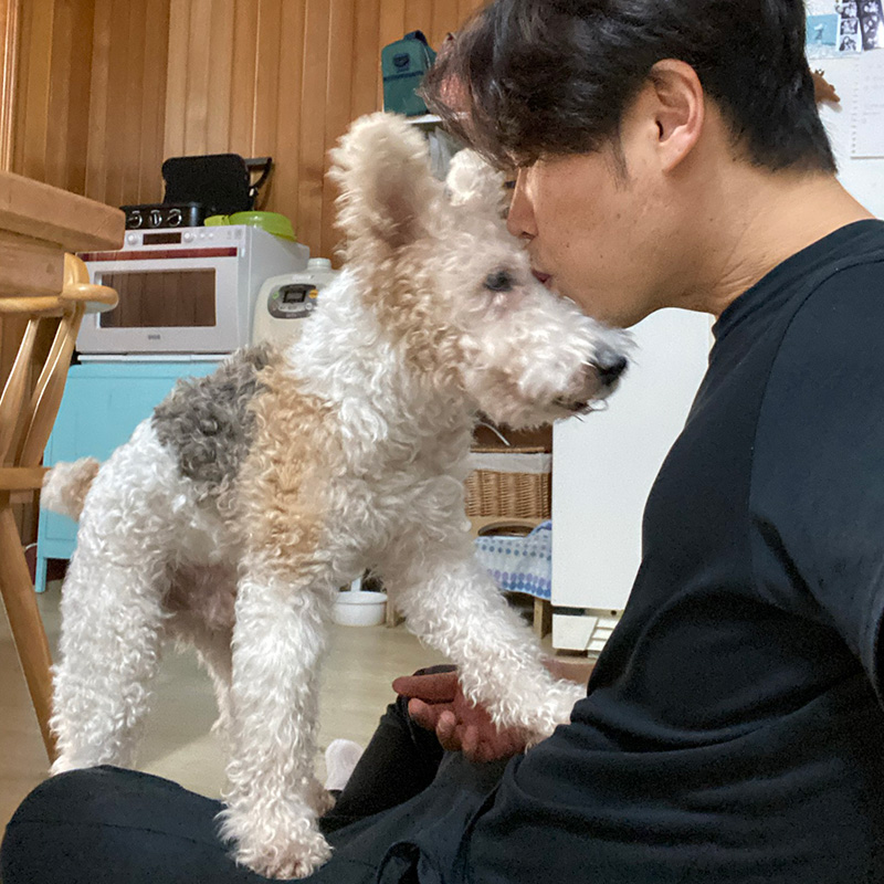 안녕 내 사랑, 잘가 내 강아지 풋코야 [반려인의 오후]