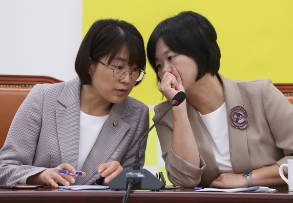 이정미 “집권여당, 개헌·선거제도 개혁주도해야”