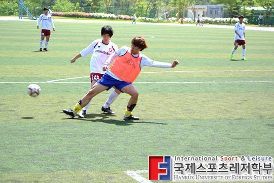 [GUCL화보] 2012 경기 대학클럽축구 챔피언스리그 성균관대 ESKARA의 우승으로 막내려