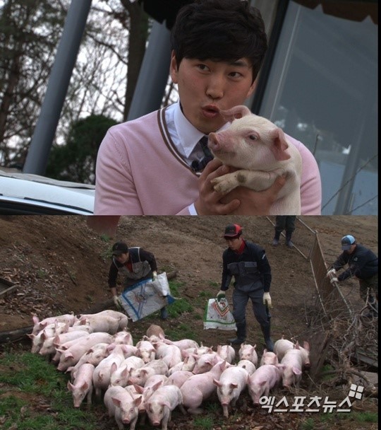 MBC 휴먼다큐 사람이 좋다…3천 마리 돼지 아빠 20대 농장주 김병찬 출연
