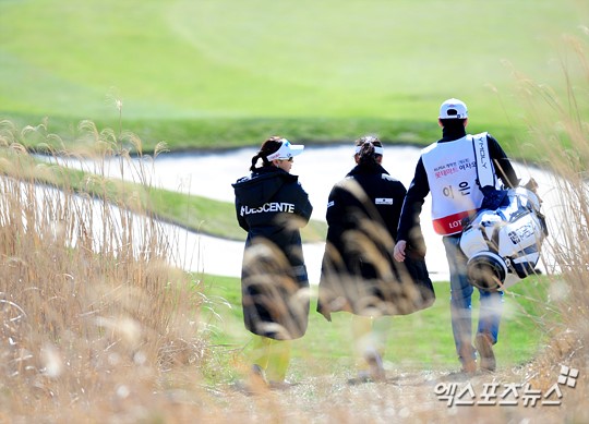 갈대숲을 걷는 KLPGA 선수들[포토]