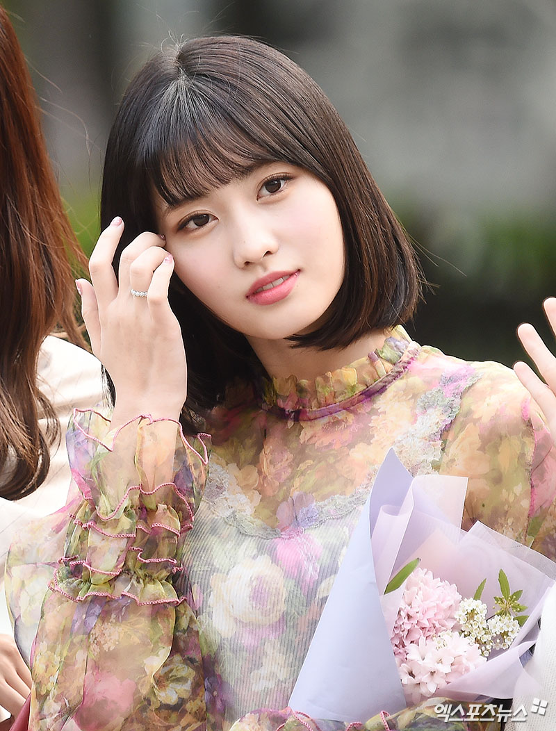 [엑s HD] 트와이스 모모 모모꽃이 활짝 피었습니다