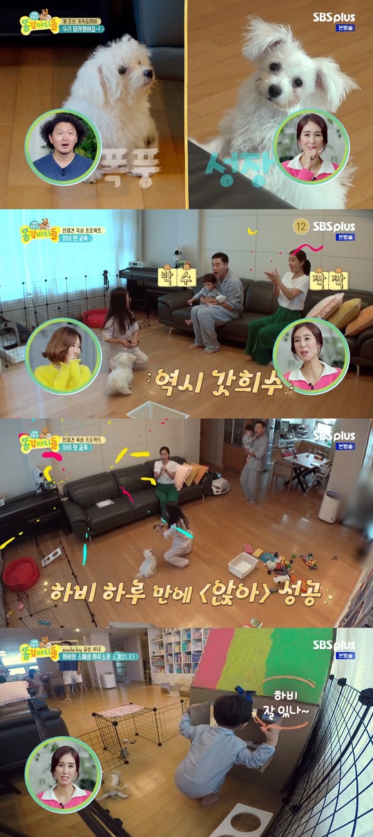 똥강아지들 오주은 가족, 반려견 하비 하우스 설계...성장하는 반려가족