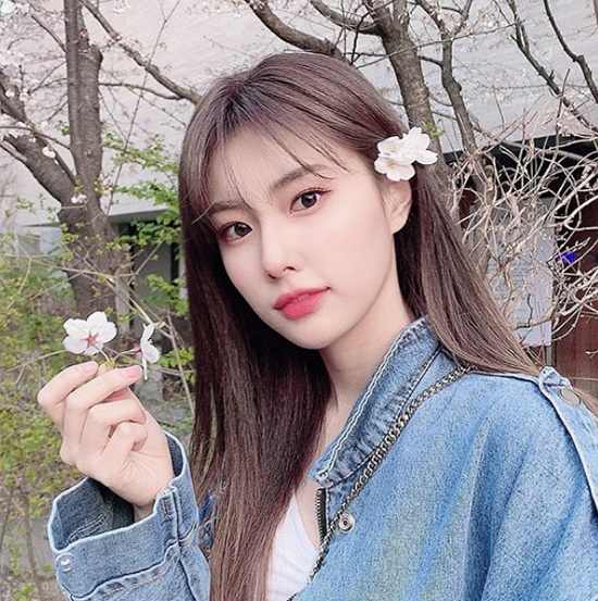 아이즈원 혜원, 머리에 벚꽃 달고 심쿵 미모…누가 꽃이야? [in스타]