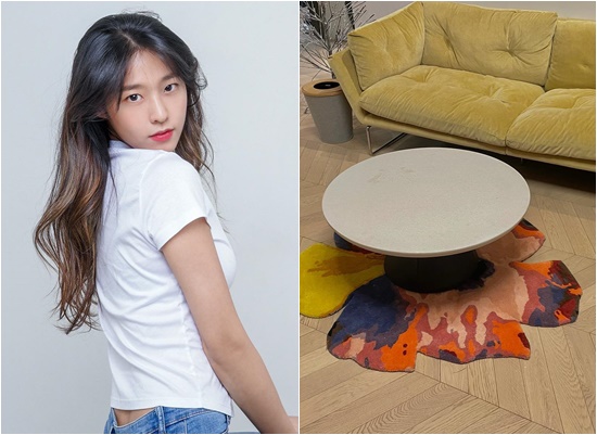 설현, 모델 하우스 아니야?…취향 드러난 집 공개 새로 산 러그