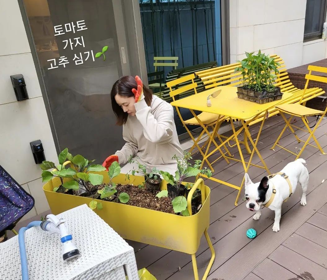 쌍둥이맘 성유리, 목장갑 낀 요정 토마토·고추 심기