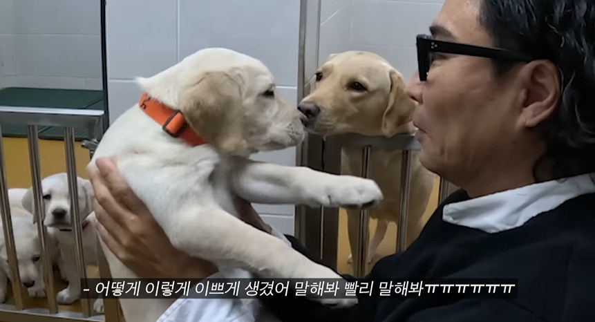 정재형, 딸+손주 만남에 감격…대견하게 잘 컸다 (요정재형)