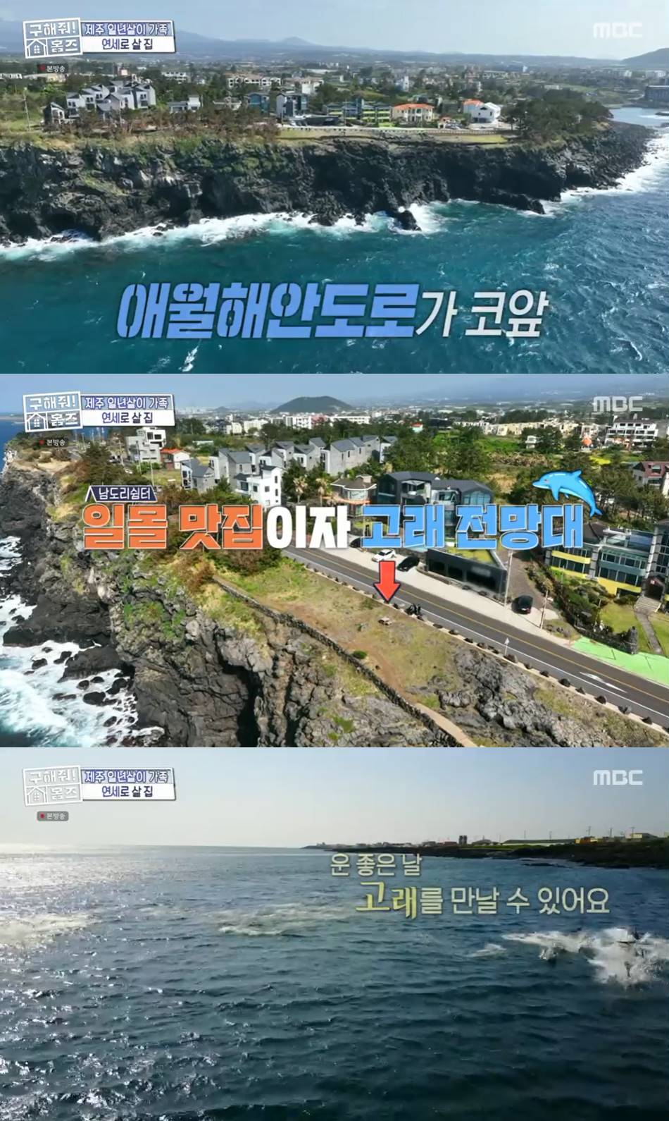 운 좋으면 집에서 돌고래도…애월바다 뷰 주택에 가비도 깜짝 (홈즈)[종합]