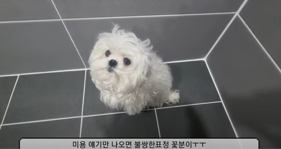 구성환 '꽃분이 관리' 불편해? 