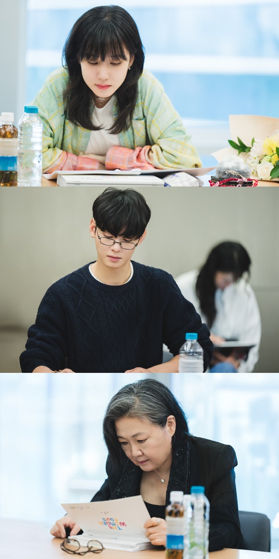 '초능력자' 박은빈x'공무원' 차은우…넷플릭스 '더 원더풀스' 제작 확정 [공식입장]