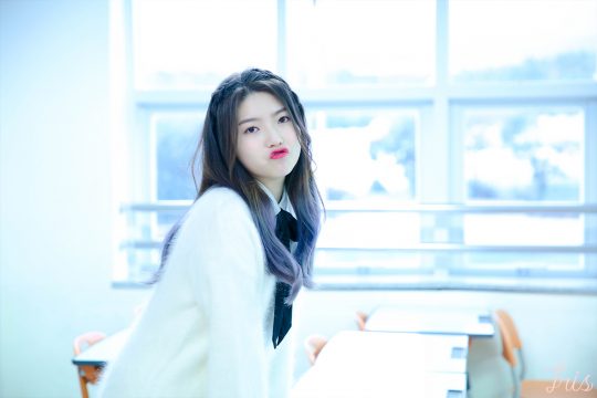 아이리스
