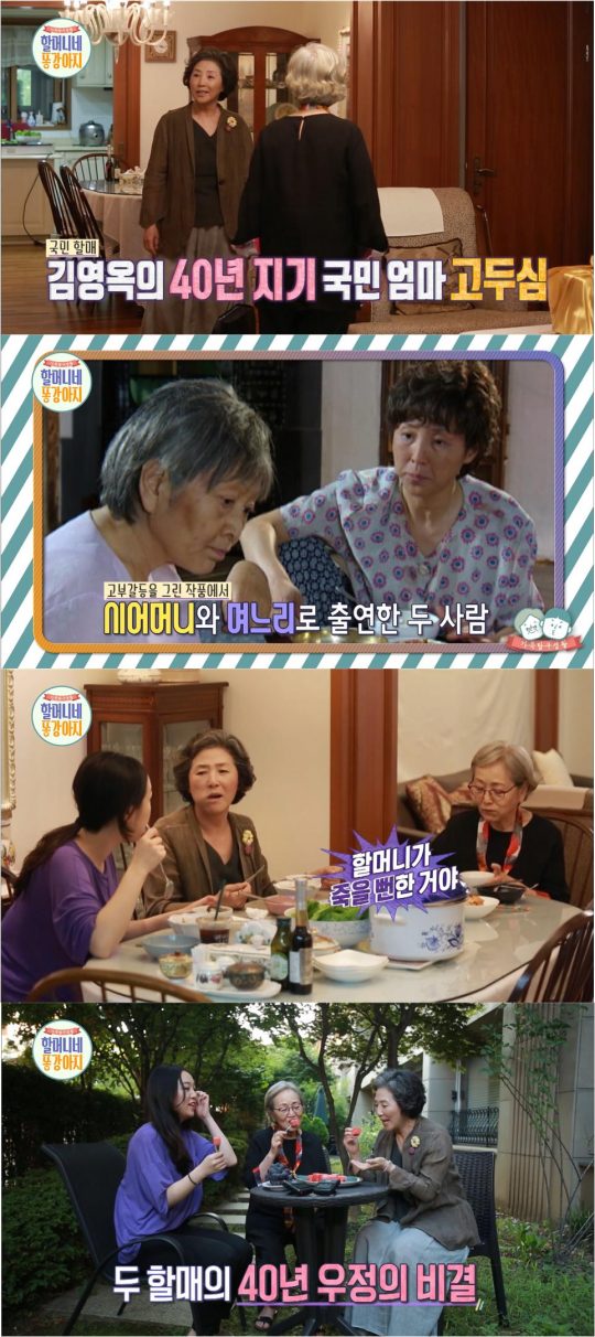 할머니네 배우 김영옥X고두심, 40년 지기 할매들의 쿨한 디스전