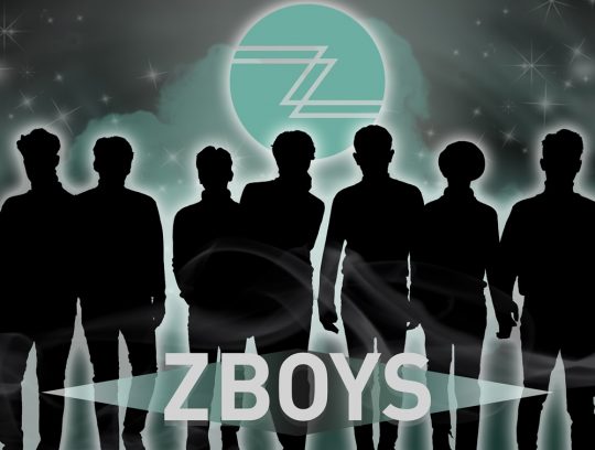 Z-BOYS