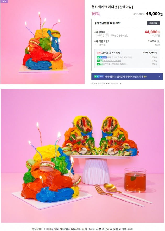 솔비, 케이크 디자인 표절 의혹 해명했지만…이번엔 거짓말 논란 [종합]