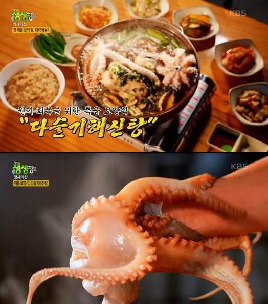 다슬기 해신탕, 닭과 문어, 다슬기가 듬뿍 들어가 원기 회복의 정점(2TV 생생정보)