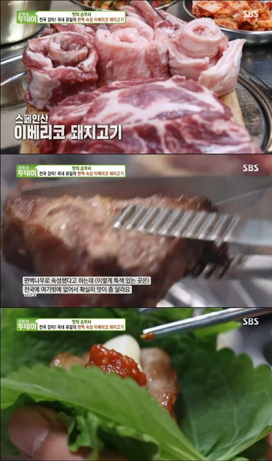 편백 이베리코 돼지고기, 국내 유일 편백 숙성한 이베리코를 참숯에 구워 감칠고소한 맛(생방송 투데이)