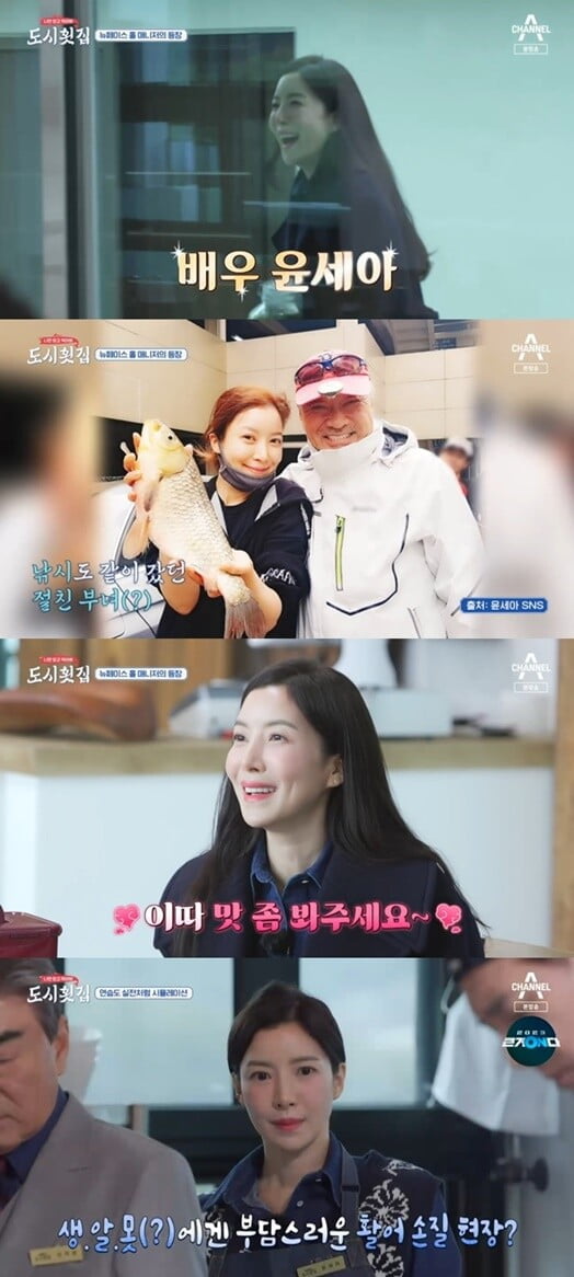 윤세아, 도시어부 텐션담당 홀매니저로 대활약...서빙 많이 해봐서 자신 있어(도시횟집)