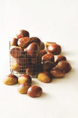 영양간식 이미지