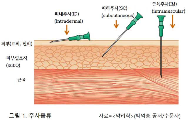 먹는 약과 주사, 효능에 어떤 차이 있을까? [의사가 설명하는 약물 이야기]