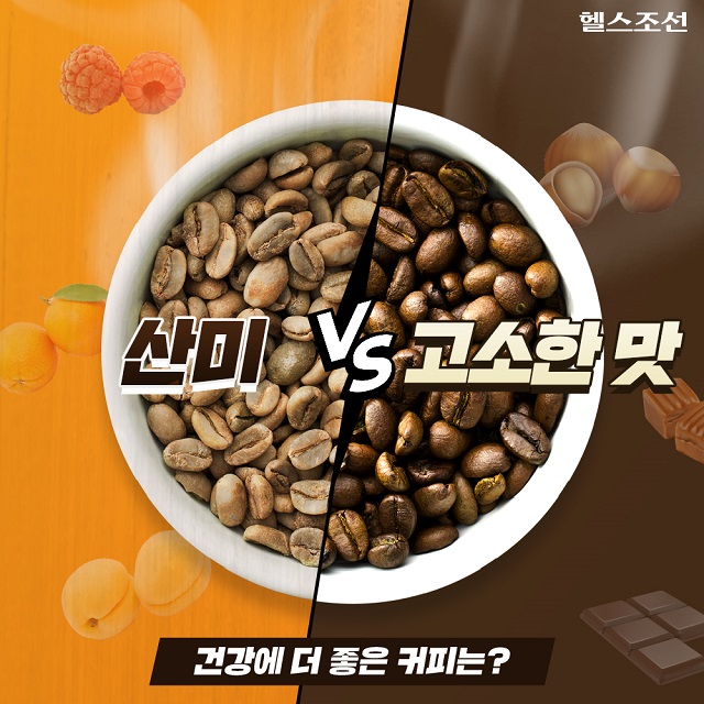 [카드뉴스] 산미 VS 고소한 맛, 건강에 더 좋은 커피는?