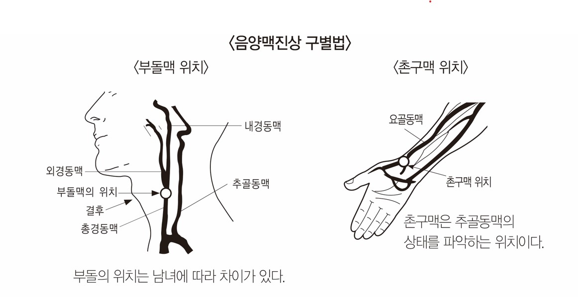 고려수지침학회 손 끝에 있는 태성혈 자리에서 채혈하세요