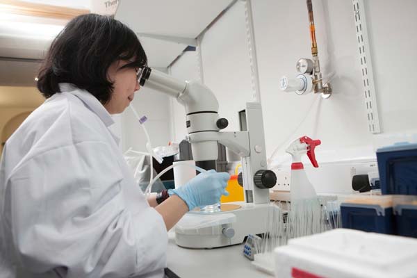 의약품 동물실험 사라질까… 美 FDA 이어 NIH도 가세