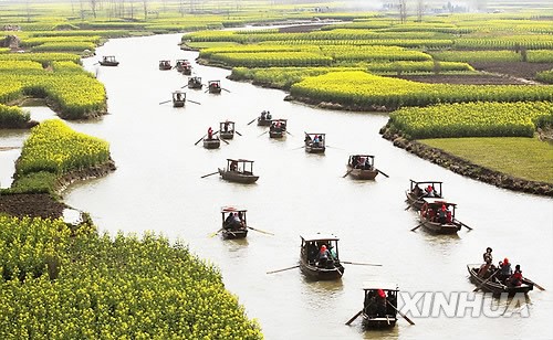 CHINA-JIANGSU-XINGHUA-COLE FLOWERS (CN)