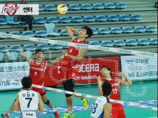 배구상식.....배구 포지션