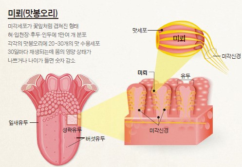 즐겨 마시는 와인, 비행기에선 왜 맛이 다르지?