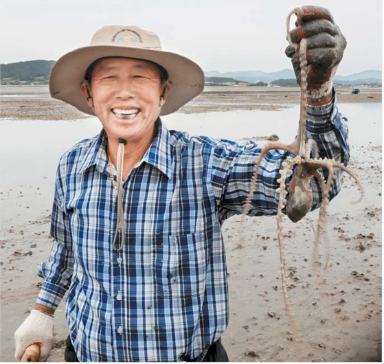 세발낙지는 그냥 어린 낙지, 좀 큰 것 회 쳐 먹는 게 탕탕이