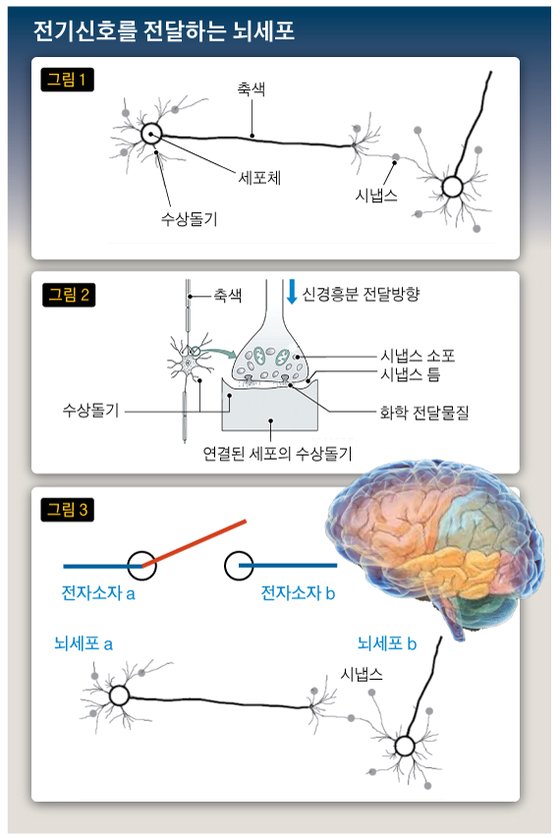 뇌세포회로 잇는 시냅스, 자꾸 쓰면 7080도 ‘기억력 회춘’
