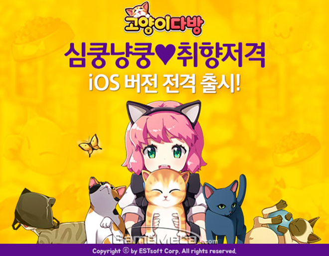 아이폰에서 만나는 반려동물, ‘고양이 다방’ 애플 앱스토어 출시
