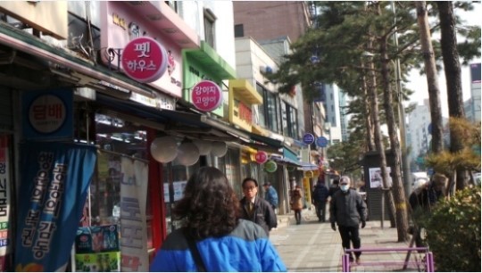 개 팝니다 대기업이 뛰어들자 쇠락한 충무로 애견거리