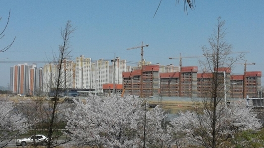 [르포] 배곧 웃돈 호가 3000만원…신규 단지에만 집중된 반쪽 열기
