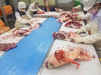 [미래농업]⑩ 한우 등심을 돼지 삼겹살 가격에