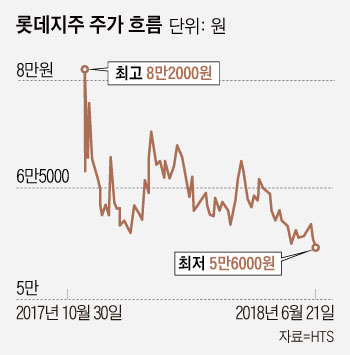 분할만 하면 지주사 주가 뚝뚝…전환 안하는게 낫다 목소리도