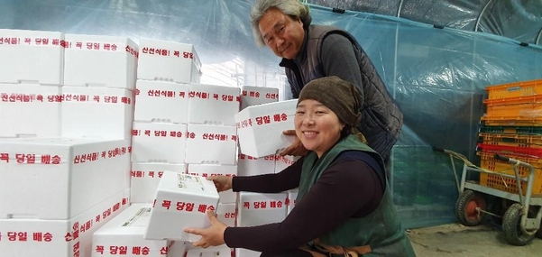 무농약 친환경으로 키운 채소로 돈벌죠... 송혜자 오똑팜 대표