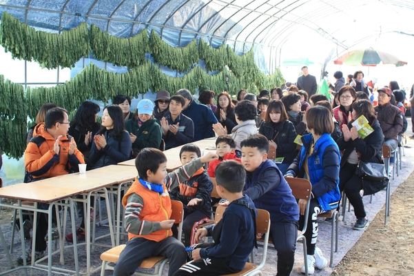 무농약 친환경으로 키운 채소로 돈벌죠... 송혜자 오똑팜 대표