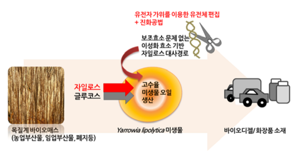 KIST, 버려지는 택배박스로 디젤연료 생산