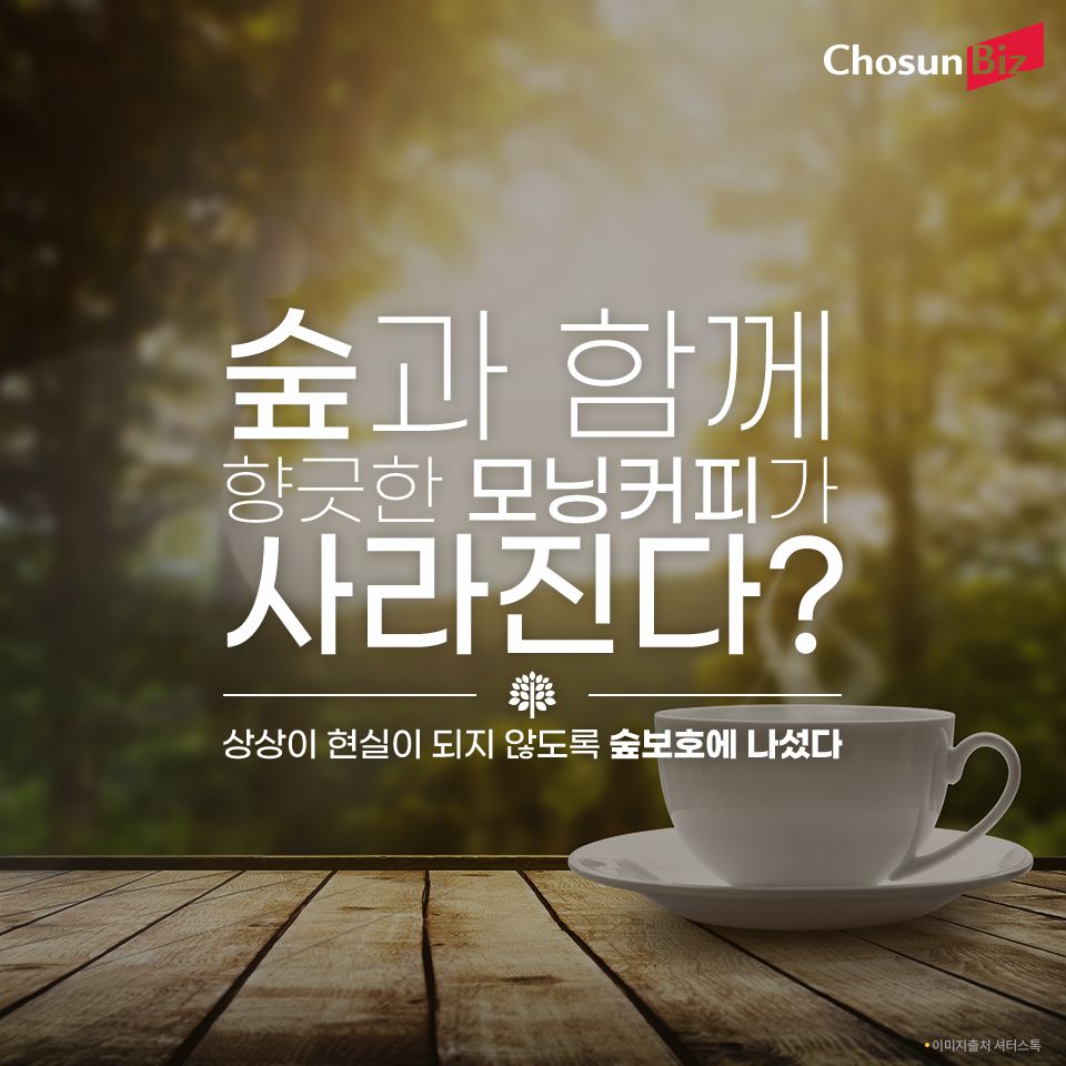 [카드뉴스] 숲과 함께 향긋한 모닝커피가 사라진다?