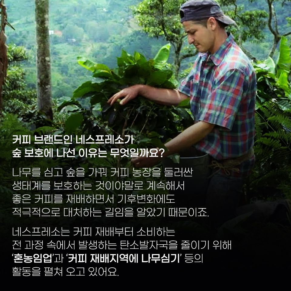 [카드뉴스] 숲과 함께 향긋한 모닝커피가 사라진다?