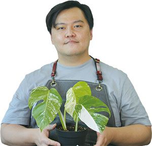 “몬스테라 알보 이파리 팔아 월 2000만원 수익…취미가 주업 됐어요”